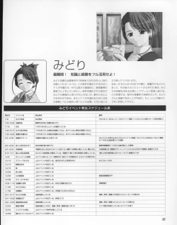 Page 86 of Magical Antique Official Artworks