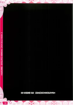 Page 12 of Moe Touhou Gensoukyou - Hakurei Shojo Kekkai EVOLVED Taikenban