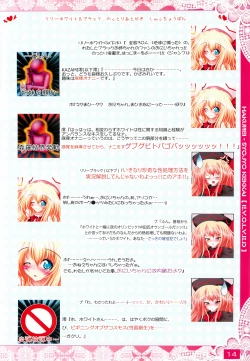 Page 13 of Moe Touhou Gensoukyou - Hakurei Shojo Kekkai EVOLVED Taikenban