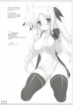 Page 16 of Lyrical na Fate-chan no Ecchii Soushuuhen