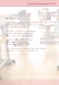 Page 2 of Houmitsu Illustrations 3