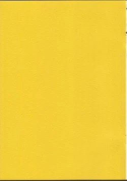 Page 2 of 02.1 Maid Fit