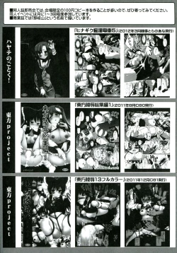 Page 17 of Touhou ryoujoku 18