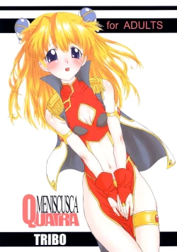 Page 26 of MENISCUSCA QUATRA