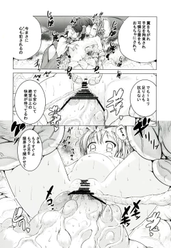 Page 18 of Touhou no hon 2