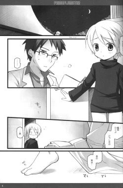 Page 4 of PRIME PLUMSTAR