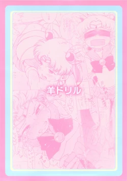 Page 26 of Chibiusa no Himitsu Diary