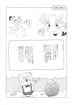 Page 3 of Chibiusa no Himitsu Diary