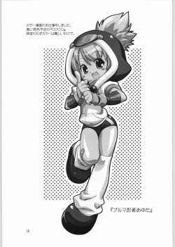 Page 17 of LALLAPALLOOZA