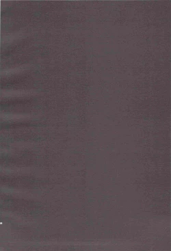 Page 4 of Ofuro de! Wanko Tomushizu no Hon