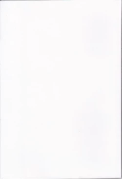 Page 2 of Kirisame Baika | Kirisame Flower-Selling