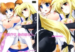 Page 1 of Omakase Nanoha-san