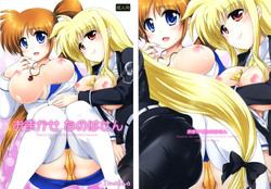 (SC56) [Tamafuwa (Okino Matsushiro)] Omakase Nanoha-san