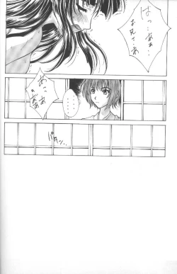 Page 25 of Kudoki Dancers Salt Shio