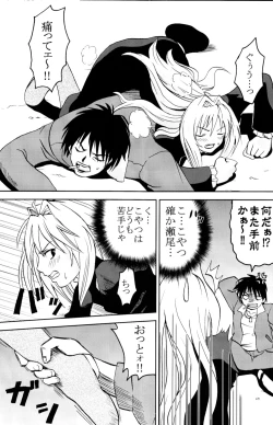 Page 29 of Sekirei Hobaku Keikaku 3