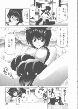 Page 21 of Nekomimi Taisen