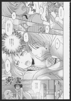 Page 7 of Hinatama Holic