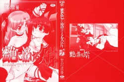 Page 4 of Mitsuiro Ni Tokeru Kakera