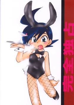 Page 22 of SILVER MAX