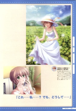 Page 31 of Canvas2 ～茜色のパレット～ ビジュアルファンブック