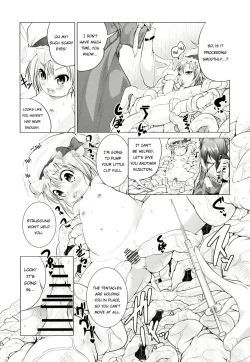 Page 11 of Touhou no hon 2