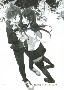 Page 3 of Holic Mellow