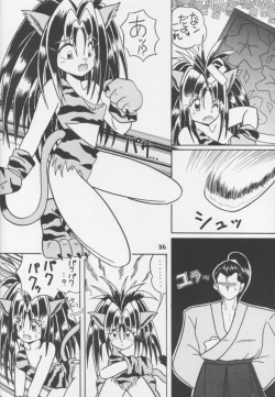 Page 35 of Touhou Huhai