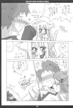 Page 17 of Emiyake Koneko nikki