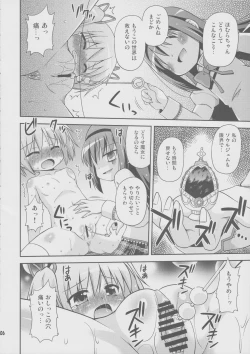 Page 5 of Daikaiten Homuspinner