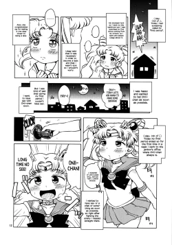 Page 12 of Chibiusa no Himitsu Diary