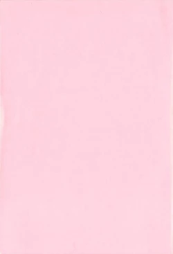 Page 254 of Soukan Syoukougun