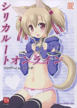 Page 1 of Silica Route Online 2