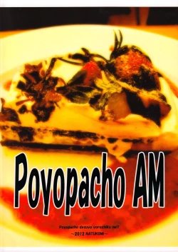 Page 21 of Poyopacho AM