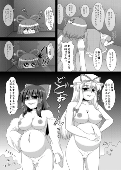Page 19 of Hatsujou Reimu R III