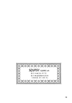Page 17 of SQUASH