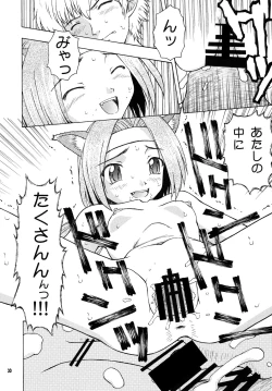 Page 29 of CalnusNisshi