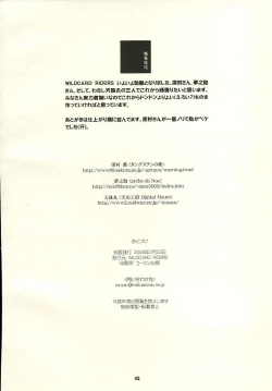 Page 41 of Wildcard Riders. vol.1