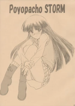 Page 2 of Poyopacho STORM