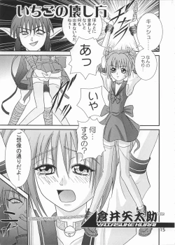 Page 14 of Gohoushi Katsudou