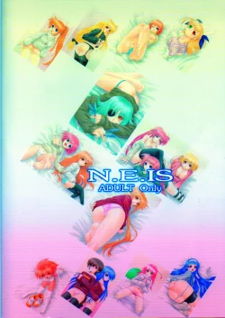 Page 18 of N.E.IS IV