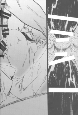 Page 13 of Königsberg