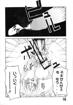 Page 15 of パッピーマテリアル