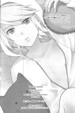 Page 29 of secret room