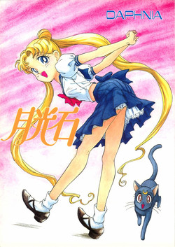 (C43) [Damage Honpo (DAPHNIA)] Gekkou Ishi (Bishoujo Senshi Sailor Moon)