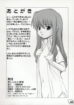 Page 29 of Kinjirareta Sekai