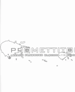 Page 40 of PROMETTITORE