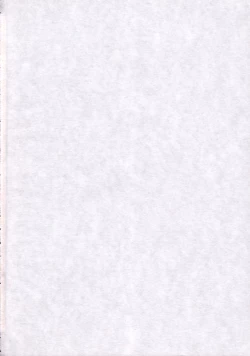 Page 30 of Tomoyo no Koi Sakura no Omoi