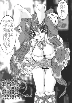 Page 37 of Nekomimi Maid Robo Nyo II