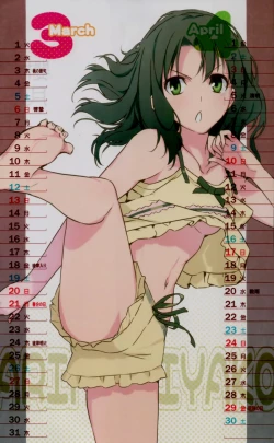 Page 4 of 2011 Type-Moon Calendar