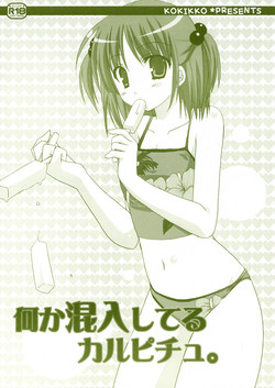 (C72) [Kokikko (Sesena Yau)] Nanika Konnyuu Shiteru Karupichu. (Hayate no Gotoku! [Hayate the Combat Butler!])